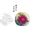 【大彩图】李晓明工笔画白描底稿小品《洛阳红》牡丹临摹勾线花鸟线稿K019 商品缩略图0