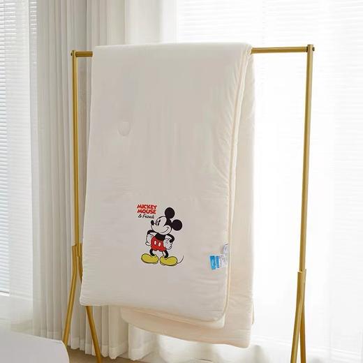 迪士尼 秋冬被 200*230cm 商品图1