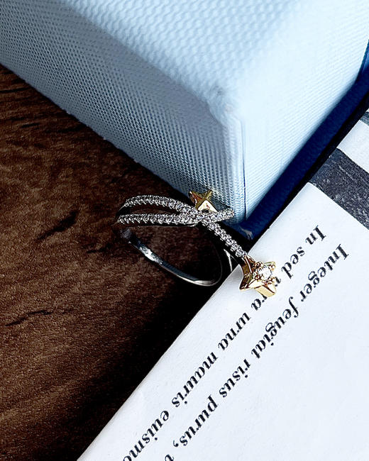 现货 THS 10.21-无 hefang家 雪花系列耳钉/耳扣/戒指/项链 CU1120 商品图8