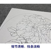 【大彩图】李晓明工笔画白描底稿小品墨海青龙牡丹临摹勾线花鸟线稿K015 商品缩略图4