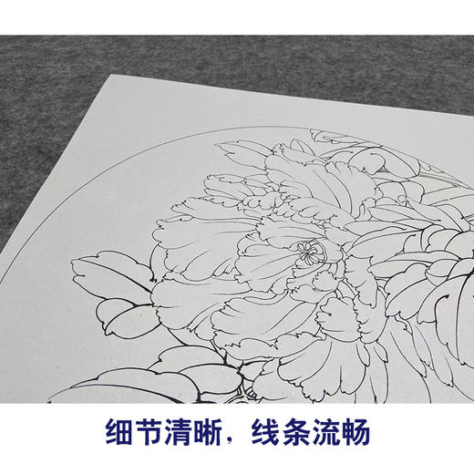 【大彩图】李晓明工笔画白描底稿小品墨海青龙牡丹临摹勾线花鸟线稿K015 商品图4