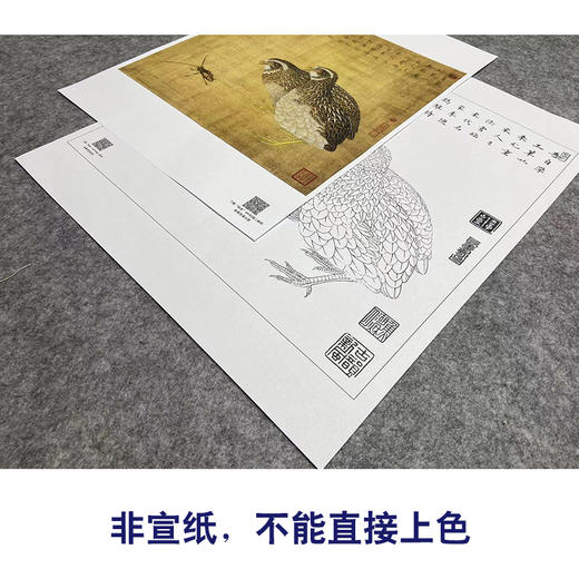 【大彩图】李晓明工笔画白描底稿斗方小品《鹌鹑天牛》临摹勾线动物线稿K054 商品图2