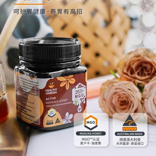澳洲豪斯佳敦麦卢卡蜂蜜10+(MGO263+)  250g 商品图1