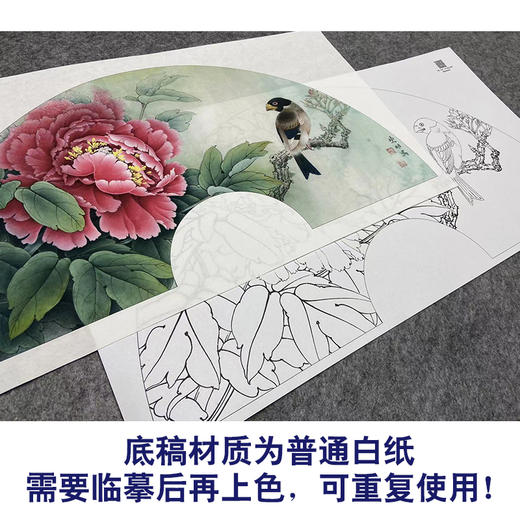 【大彩图】李晓明工笔画白描底稿扇面小品《蜡嘴魏紫》牡丹临摹勾线花鸟线稿K001 商品图3