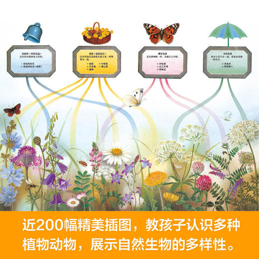 耕林四季时钟 第一二辑 6-12岁科学启蒙自然绘本 商品图2