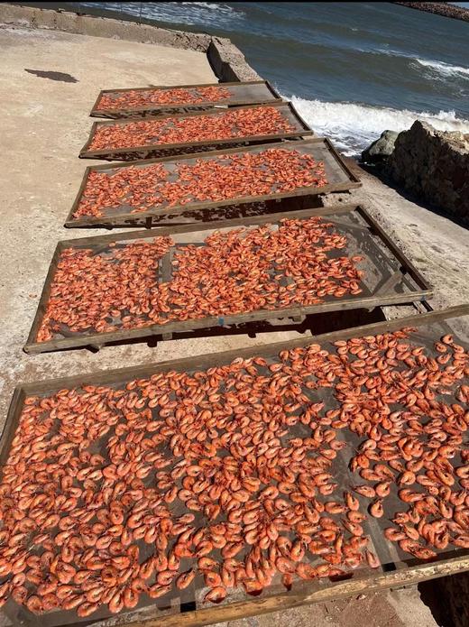 【近日新晒虾干】复州湾盐场大姐家新晒黑皮虾干，60-130头/斤即食大虾干，活虾蒸煮后传统手工日晒，不是烘烤的，好吃健康，营养美味，3斤活虾才能晒出1斤虾干，大连特产，辽宁省内包邮（收到货需冷冻保存） 商品图7