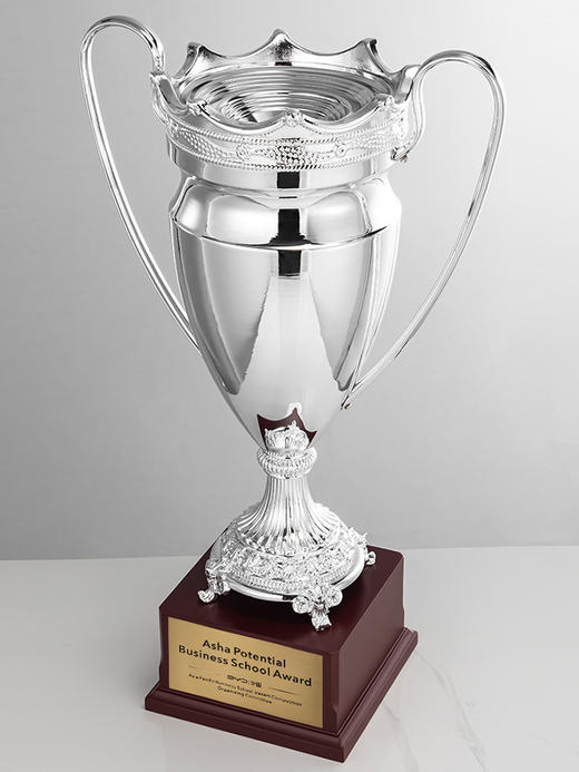 奖杯定制做特大号纯金属足球赛事欧冠荣誉奖杯比赛夺冠纪念品订制 商品图3