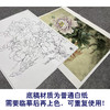 【大彩图】工笔画白描底稿小品《碧空金星》牡丹临摹勾线花鸟线稿K027 商品缩略图3