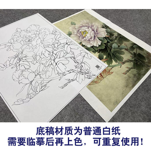 【大彩图】工笔画白描底稿小品《碧空金星》牡丹临摹勾线花鸟线稿K027 商品图3