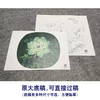 【大彩图】李晓明工笔画白描底稿小品《凤丹白》牡丹临摹勾线花鸟线稿K013 商品缩略图1