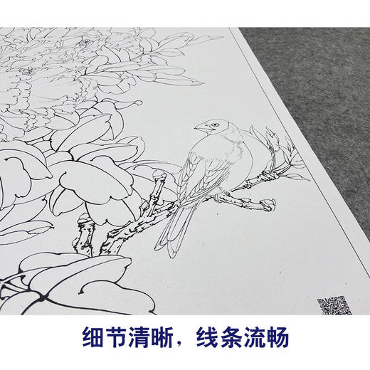【大彩图】工笔画白描底稿小品《二乔蜡嘴》牡丹临摹勾线花鸟线稿K028 商品图4