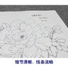 【大彩图】李晓明工笔画白描底稿小品《凤丹白》牡丹临摹勾线花鸟线稿K013 商品缩略图4