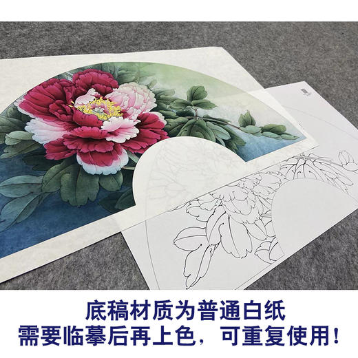 【大彩图】李晓明工笔画白描底稿扇面小品《二乔》牡丹临摹勾线花鸟线稿K007 商品图3