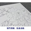 【大彩图】李晓明工笔画白描底稿小品《重绘赵粉》牡丹花鸟线稿K024 商品缩略图4
