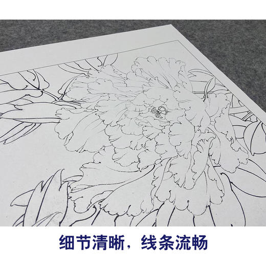 【大彩图】李晓明工笔画白描底稿小品《重绘赵粉》牡丹花鸟线稿K024 商品图4