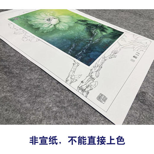【大彩图】李晓明工笔画白描底稿小品《夜光白》牡丹临摹勾线花鸟线稿K025 商品图2