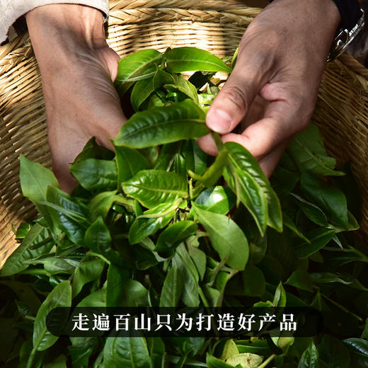 10月21日中午12点【两人团】【生津岭】2023年春茶普洱茶生茶来自云南雨林的森林茶生津持久久到离谱福利好茶357克/饼 商品图1
