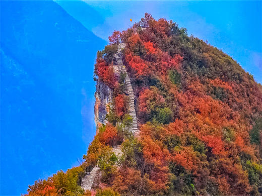 【三峡红叶2日】红叶醉三峡の三峡之巅看夔门漫山红叶“枫”情万种 商品图4