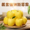 【新品上市】日本引进新品种 山东黄金维纳斯苹果 新鲜现摘 脆甜高糖17+ 纯甜无酸独特果绣苹果 商品缩略图0