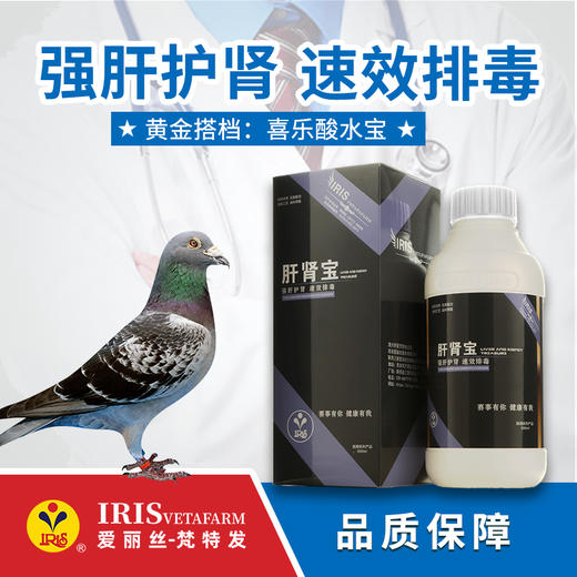 【爱丽丝】肝肾宝100m/250ml/500ml 商品图1