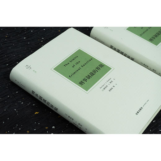 天下·博观 刑事制裁的界限 （美）赫伯特·L.帕克著 梁根林等译 商品图7