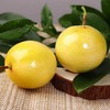 【杨博士 甄选】钦蜜9号黄金百香果 商品缩略图4