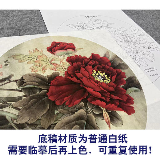 【大彩图】李晓明工笔画白描底稿小品《状元红》牡丹临摹勾线花鸟线稿K018 商品图3