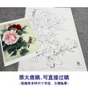 【大彩图】工笔画白描底稿小品《二乔蜡嘴》牡丹临摹勾线花鸟线稿K028 商品缩略图1