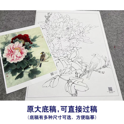 【大彩图】工笔画白描底稿小品《二乔蜡嘴》牡丹临摹勾线花鸟线稿K028 商品图1