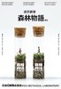 （单人票前30位购票即赠花治™迷你剧场 苔藓试管一支，售完即止）法国即兴绘画音乐会  《森林物语》10月29日北京站 商品缩略图1
