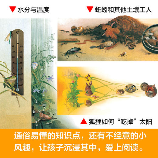 耕林四季时钟 第一二辑 6-12岁科学启蒙自然绘本 商品图3