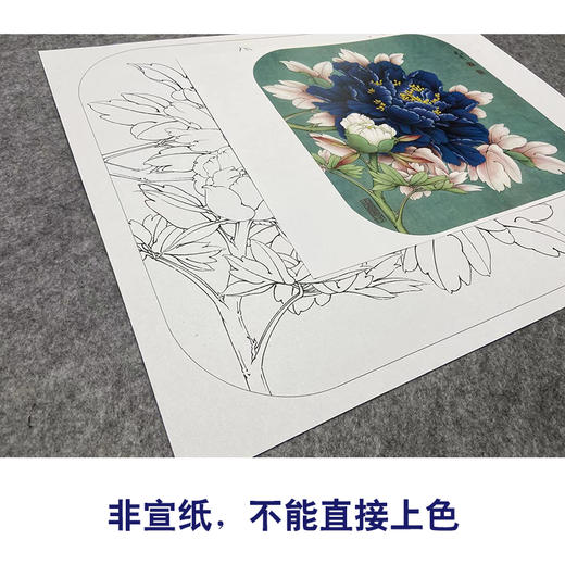 【大彩图】工笔画白描底稿小品《青龙卧墨池》牡丹临摹勾线花鸟线稿K012 商品图2