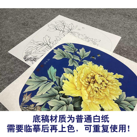 【大彩图】李晓明工笔画白描底稿小品《姚黄》牡丹临摹勾线花鸟线稿K011 商品图3