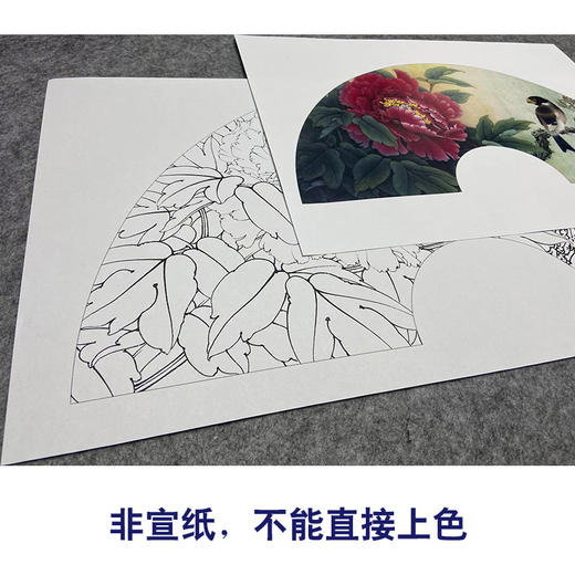 【大彩图】李晓明工笔画白描底稿扇面小品《蜡嘴小胡红》牡丹临摹勾线花鸟线稿K005 商品图2