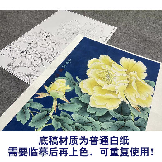 【大彩图】李晓明工笔画白描底稿小品《金幌》牡丹临摹勾线花鸟线稿K034 商品图3