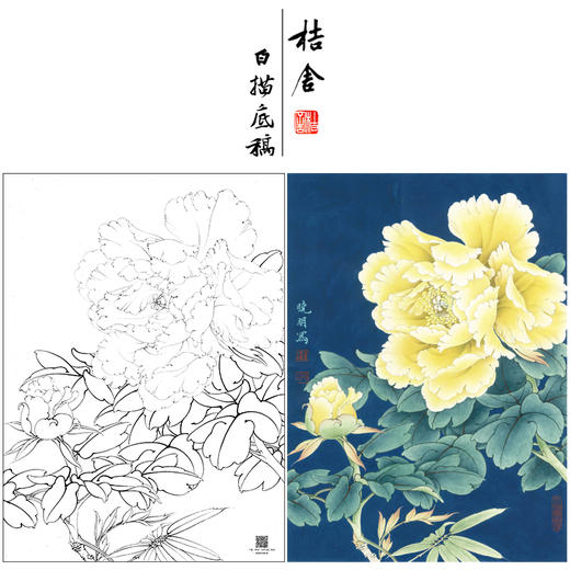 【大彩图】李晓明工笔画白描底稿小品《金幌》牡丹临摹勾线花鸟线稿K034 商品图0