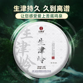 10月21日中午12点【两人团】【生津岭】2023年春茶普洱茶生茶来自云南雨林的森林茶生津持久久到离谱福利好茶357克/饼