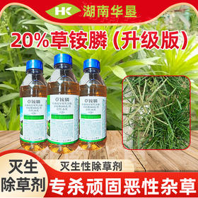 20%草铵膦升级版 水花生牛筋草小飞篷专用果园荒地茶园农药除草剂