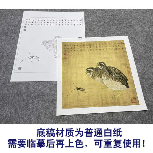 【大彩图】李晓明工笔画白描底稿斗方小品《鹌鹑天牛》临摹勾线动物线稿K054 商品图3