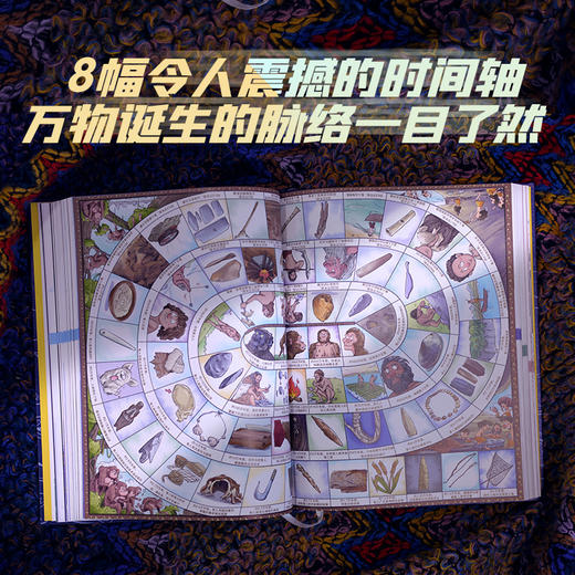 《万物有历史》 商品图5