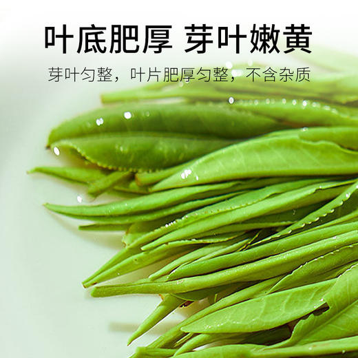 2025新茶 7星毛峰特尊明前安徽毛峰绿茶80g*2袋 商品图1