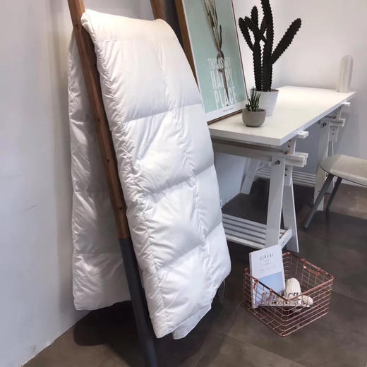 【出口匈牙利 鹅绒被】外贸公司 余量零售的 高蓬松 轻柔 舒适 鹅绒被 商品图3