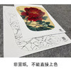【大彩图】李晓明工笔画白描底稿宫扇《丹如火》牡丹临摹勾线花鸟线稿K008 商品缩略图2