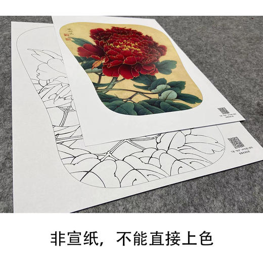 【大彩图】李晓明工笔画白描底稿宫扇《丹如火》牡丹临摹勾线花鸟线稿K008 商品图2