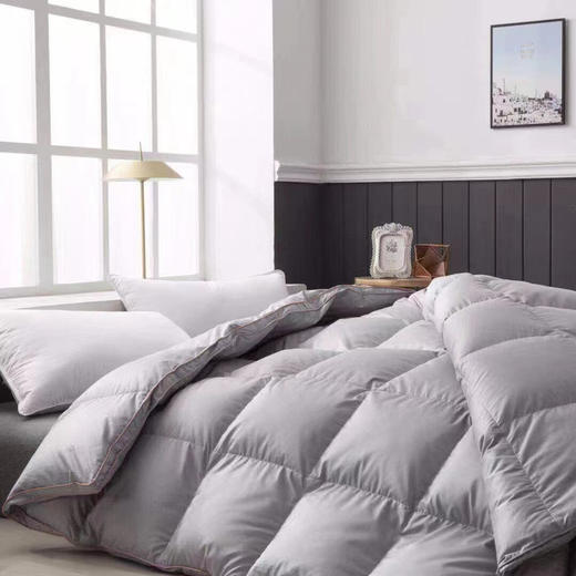 【出口匈牙利 鹅绒被】外贸公司 余量零售的 高蓬松 轻柔 舒适 鹅绒被 商品图0