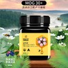 澳洲豪斯佳敦麦卢卡蜂蜜(MGO30+) 250g 商品缩略图1