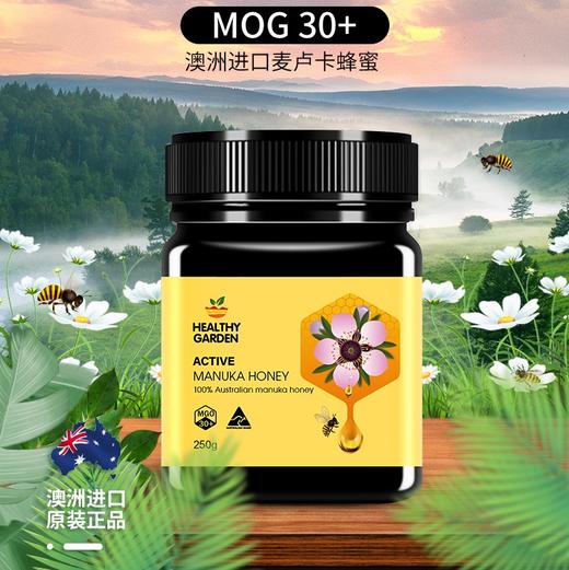 澳洲豪斯佳敦麦卢卡蜂蜜(MGO30+) 250g 商品图1