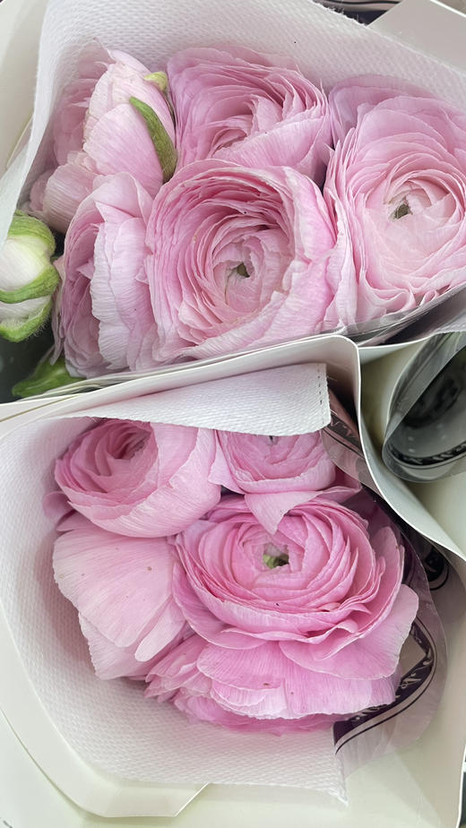 【新花派】成功洋牡丹 -樱花粉 约5枝/扎 商品图6