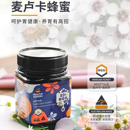 澳洲豪斯佳敦麦卢卡蜂蜜5+(MGO83+) 250g 商品图0