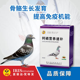 【爱丽丝】钙磷营养速补400片